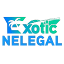 Exotic RP｜Nelegál