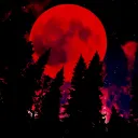 《◇ 𝐓𝐡𝐞 𝐃𝐚𝐫𝐤𝐞𝐬𝐭 𝐀𝐬𝐡 ◇》