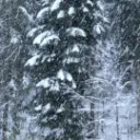 Wild Blizzard Vanilla DayZ