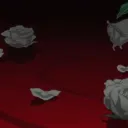S (fg arc)