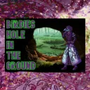 birdies Hole in the Ground