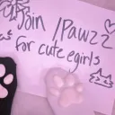 🐾 pawzz menu