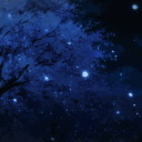 🌙The Dark Forest🌳
