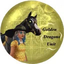 Gold Dragons Unit ✦ Open Server