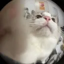 Maddie Manor discord icon