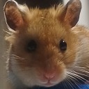 햄박준 마켓 10000000%