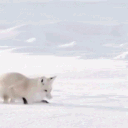 ⭔  ꜱᴛᴜᴅɪᴏ ﹒ 𝟛𝟛𝟛 Discord server icon