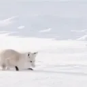 ⭔  ꜱᴛᴜᴅɪᴏ ﹒ 𝟛𝟛𝟛