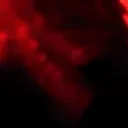 𝐍𝐈𝐆𝐇𝐓𝐌𝐀𝐑𝐄