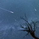 Stars │نجوم