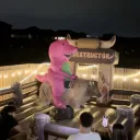 Barney basement