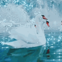 🏔👑🦢|ᦓ᭙ꪖꪀ ꫀꪑρ꠸᥅ꫀ| 🦢👑🏔