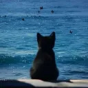 かわいい