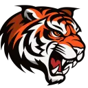 Eastpointe Tigers Football