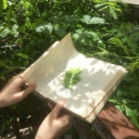 𖥻 ׁ ׅ 𝚂𝚑𝚘𝚞𝚓𝚘 𝙶𝚊𝚛𝚍𝚎𝚗 ! ׁ ׅ Discord server icon