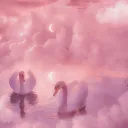 ⋆˚｡⋆୨✧୧˚ Celestial Place ˚୨✧୧⋆｡˚⋆