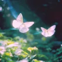 Butterfly Effect ㅣ+21