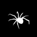 Spider shop