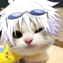 Kitty island || PRIV