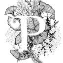 Polyglotia