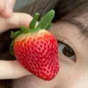 Strawberry garden 🍓 𝅙﹒tags 𝅙﹒social