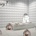A Rubber Room With Rats