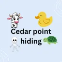 Cedar Point Hiding