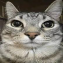 Nut-Hut all purpose hangout server Discord server icon