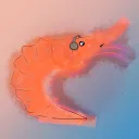 🦐 Zefalopodos 🦐