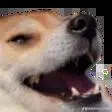 Server icon