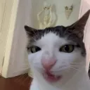 Ukryta Strefa Internetu 😳