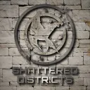 Shattered Districts