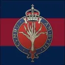 Welsh Guards