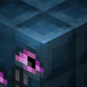 Disorder of the Stone
