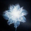 AURA — Servidor de Discord