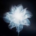 AURA icon