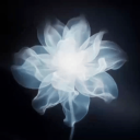 AURA icon