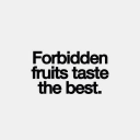 The Curious Den Discord server icon