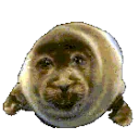 THE ICEBERG 这 冰山 1989