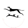 116. Panzer-Division "Windhund"