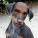 KOOL KIDS KLUB 😭🙏 Discord server icon