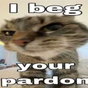 The Cat Distribution System