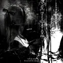 Server icon for ✩₊˚.⋆🕸⋆⁺₊✧ Crumbling Forest✩₊˚.⋆🕸⋆⁺₊✧