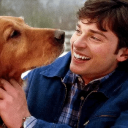 #KENT Discord server icon