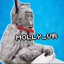 Molly_vr’s official discord server🤑
