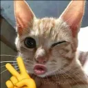 NEGGA TEAM  part 1 Discord server icon