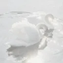 ﹒ ∿   𝒯iana's basement ﹏ Discord server icon