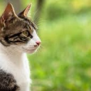 ♧Way of The Warrior♧ Discord server icon