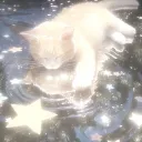 ੈ✩‧₊˚꒰ঌ 𝒦𝒾𝓉𝓉𝓎 𝒫𝑜𝑜𝓁 ໒꒱ੈ✩‧₊˚