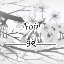 noir Discord server icon